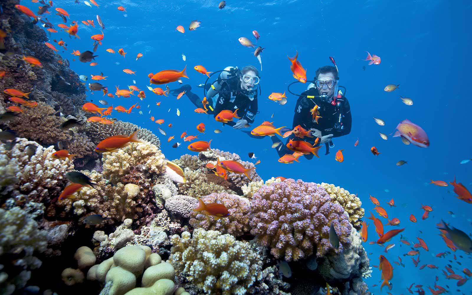 Snorkeling in Da Nang